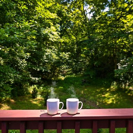 Smoky Mountains Hut Tub Cabin Dog Friendly Севьервилл Экстерьер фото