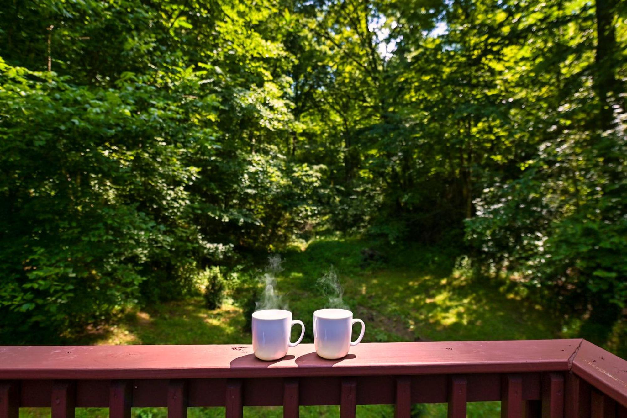Smoky Mountains Hut Tub Cabin Dog Friendly Севьервилл Экстерьер фото